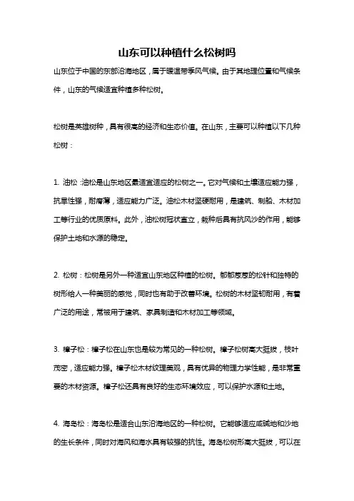 山东可以种植什么松树吗