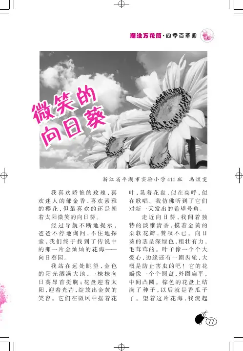 微笑的向日葵