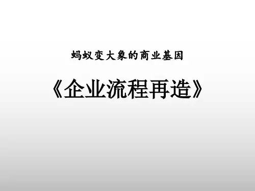 企业流程再造精品PPT课件