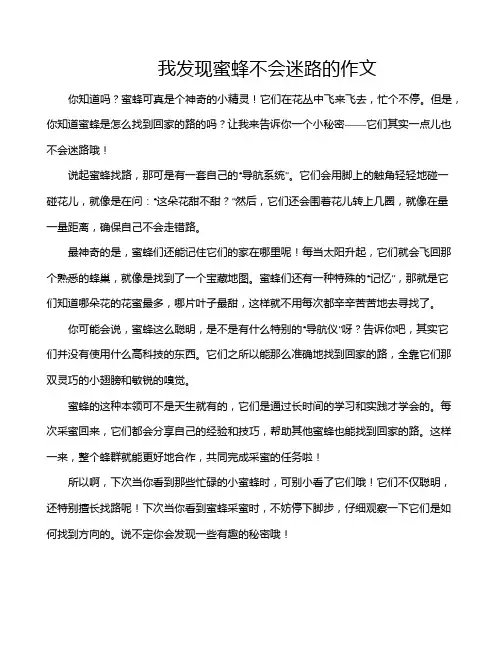 我发现蜜蜂不会迷路的作文