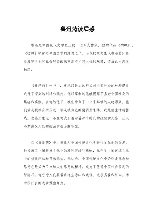 鲁迅药读后感