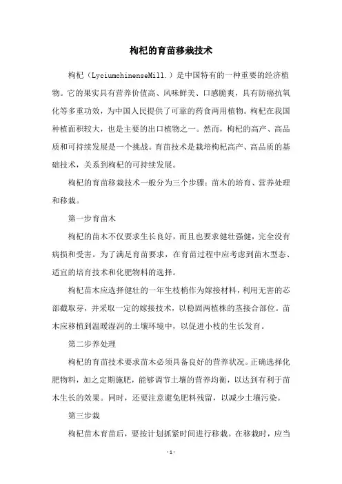 枸杞的育苗移栽技术