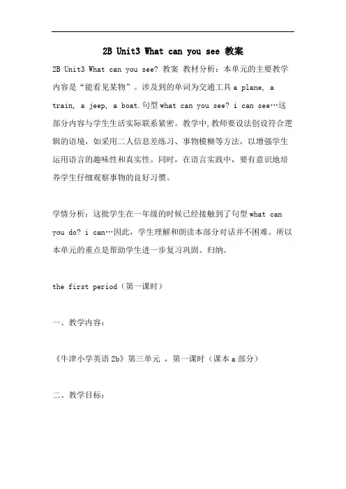2021年2B UNIT3 WHAT CAN YOU SEE  教案
