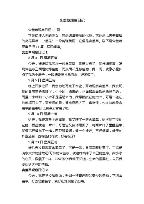 含羞草观察日记11篇