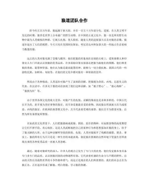 狼道团队合作