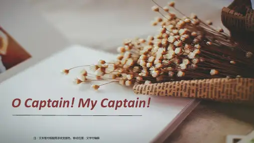 o-captain-my-captain文体学分析教程文件