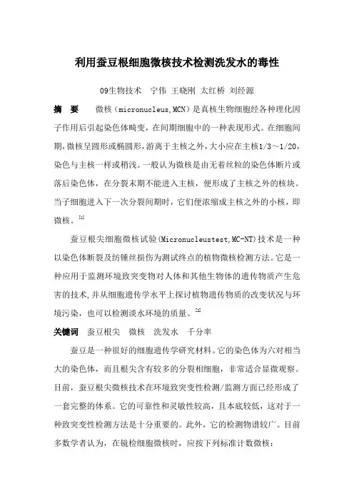 蚕豆根尖细胞微核实验报告