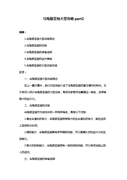 乌龟服圣骑大型攻略part2