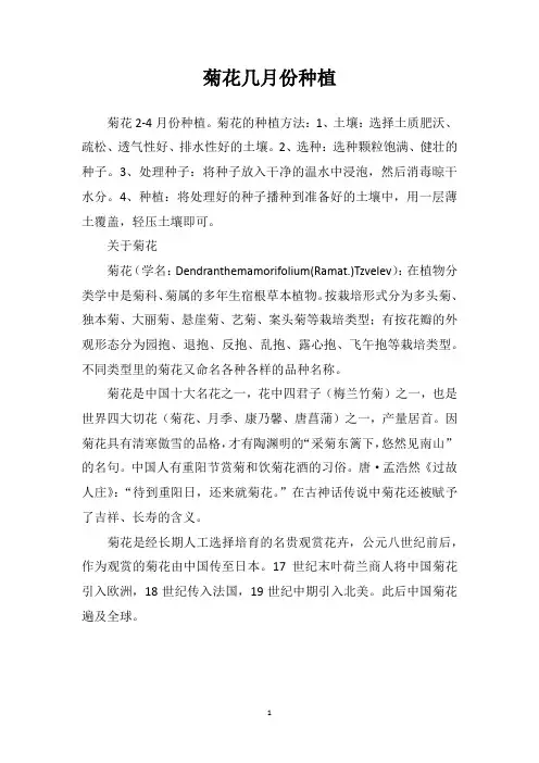 菊花几月份种植