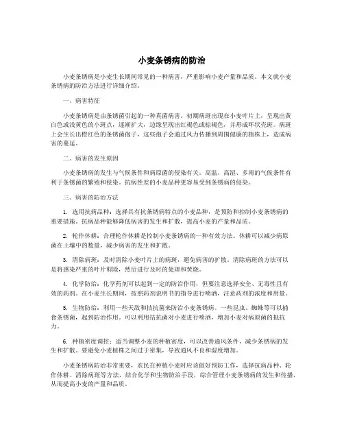 小麦条锈病的防治