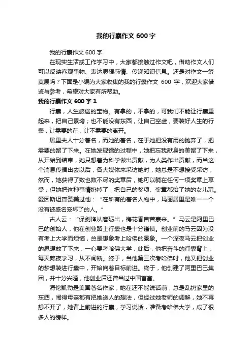 我的行囊作文600字