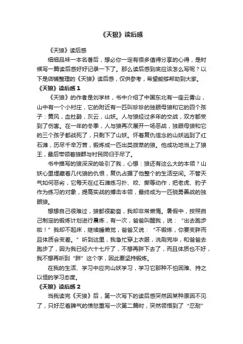 《天狼》读后感
