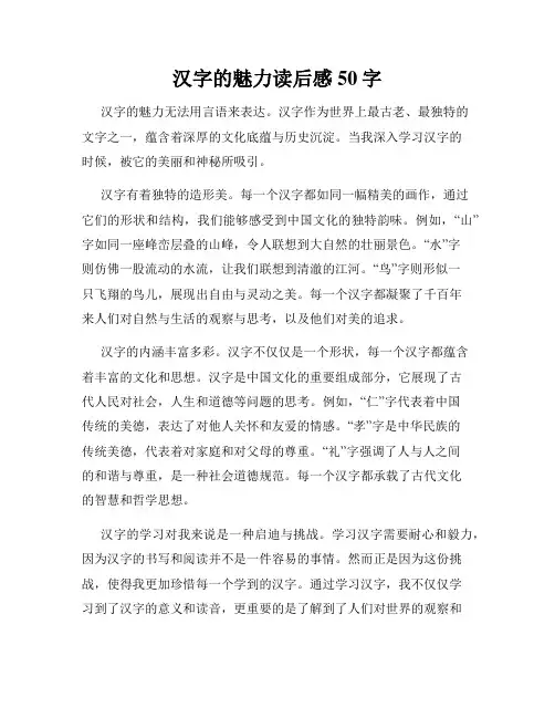 汉字的魅力读后感50字