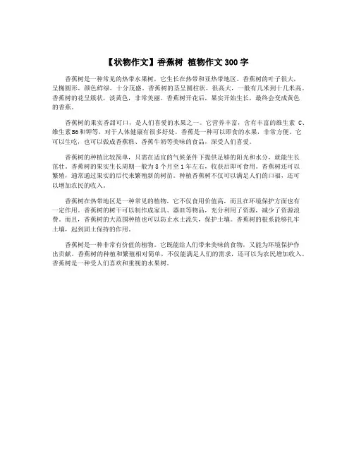 【状物作文】香蕉树 植物作文300字