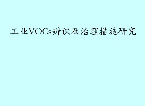 工业VOC治理措施专题讲座PPT