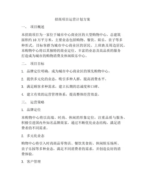 招商项目运营计划方案