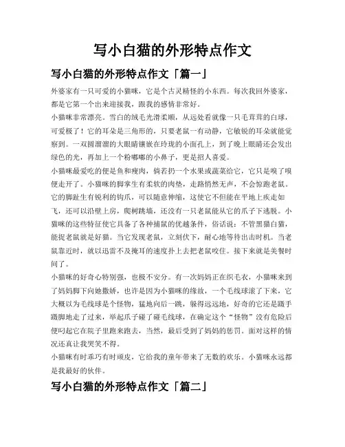 写小白猫的外形特点作文