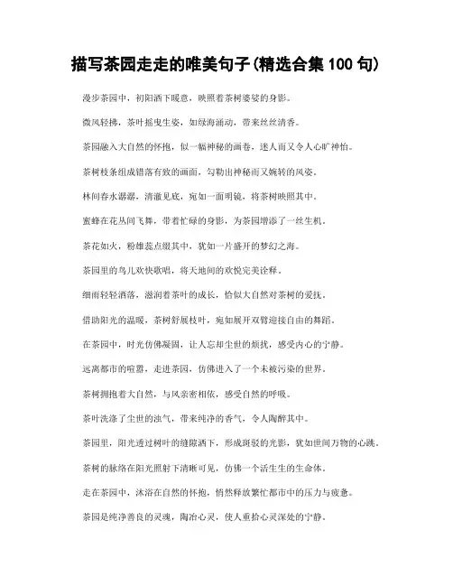 描写茶园走走的唯美句子(精选合集100句)