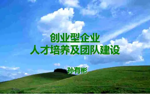 创业型企业人才培养与团队建设42页PPT