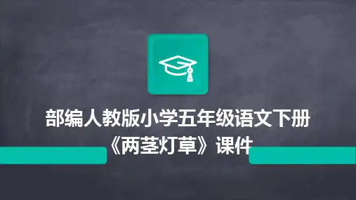 2024版部编人教版小学五年级语文下册《两茎灯草》课件