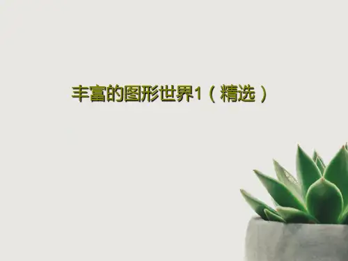 丰富的图形世界1(精选)16页文档