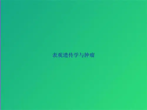 表观遗传学与肿瘤(共29张)