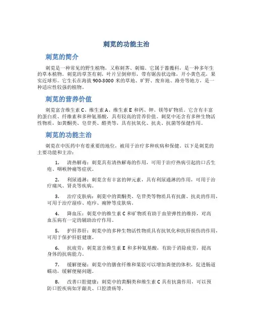 刺苋的功能主治