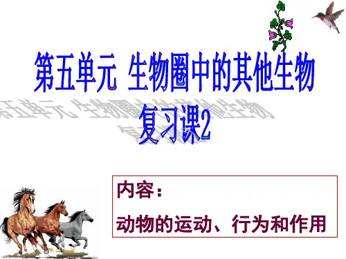 八上-期末复习-动物的运动、行为和作用