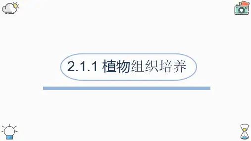 人教版选修三2.1.1 植物组织培养(10张ppt)