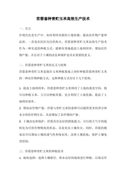 苜蓿套种青贮玉米高效生产技术