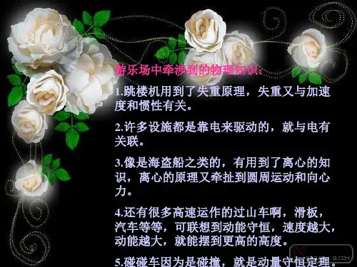 研究性学习游乐场中的物理知识