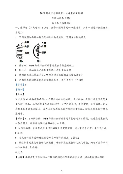 202 1届山东省新高考一轮备考质量检测生物试题四)(解析版)