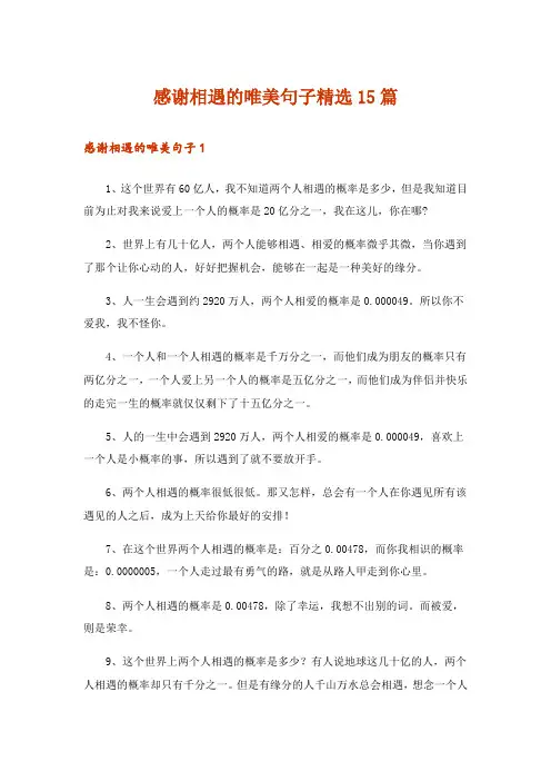 感谢相遇的唯美句子精选15篇_1