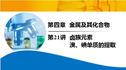 高三化学一轮复习  第21讲  卤族元素  溴、碘单质的提取  课件
