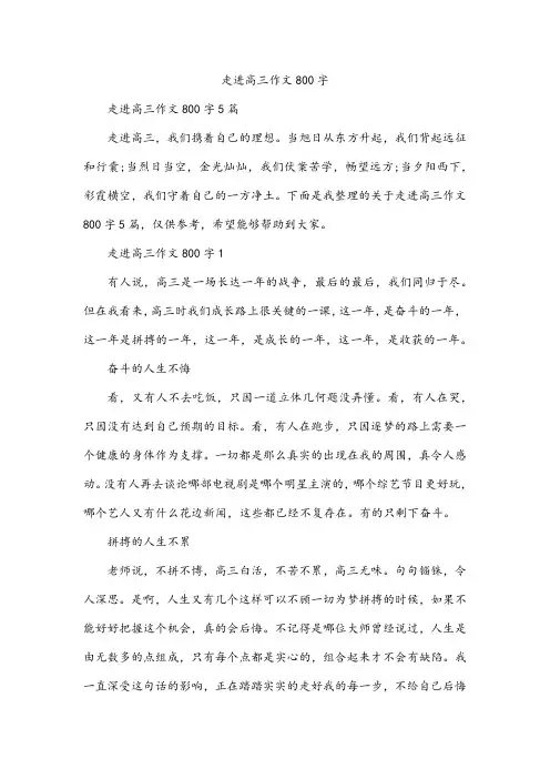 走进高三作文800字