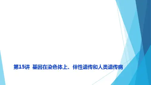 一轮复习人教版基因在染色体上伴性遗传和人类遗传病考点一基因在染色体上(22张)课件