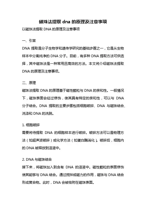 磁珠法提取dna的原理及注意事项
