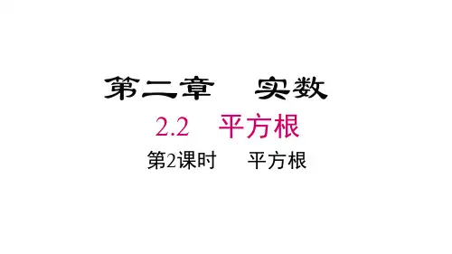 北师大版八年级数学上册第2章 实数 平方根