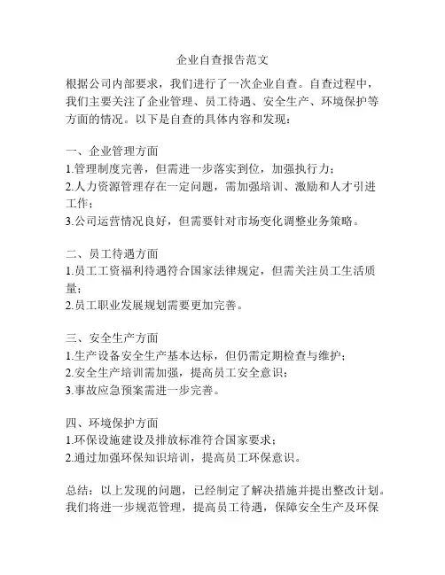 企业自查报告范文