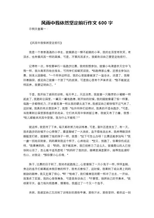风雨中我依然坚定前行作文600字