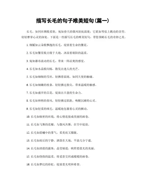 描写长毛的句子唯美短句(精选两篇)