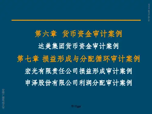 货币资金审计案例达美集团货币资金审计案例第七章