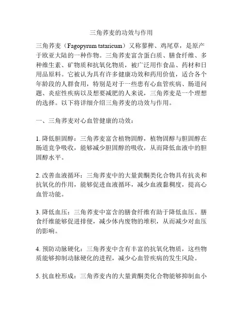 三角荞麦的功效与作用