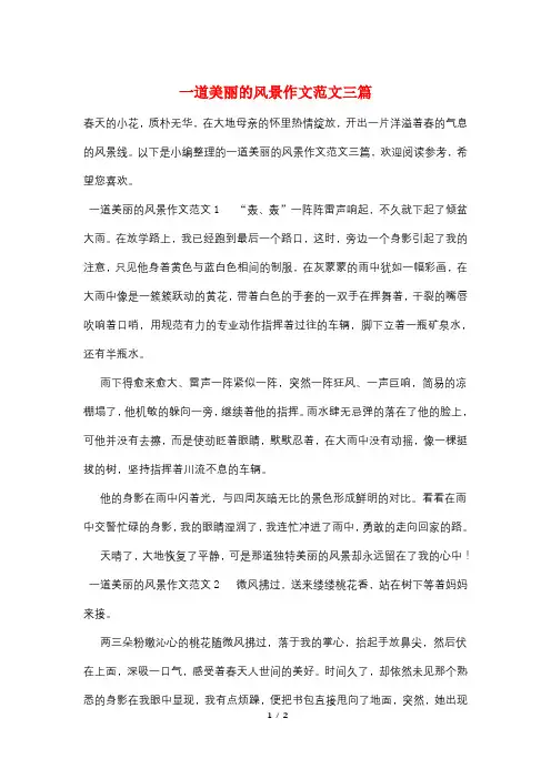 一道美丽的风景作文范文三篇