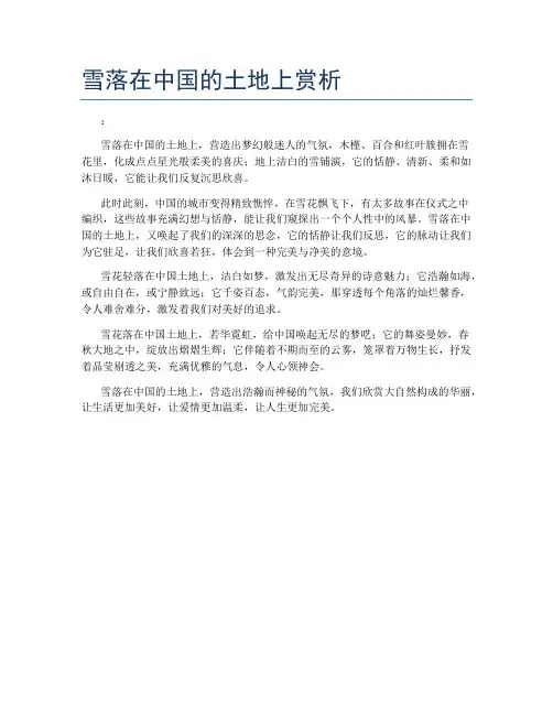 雪落在中国的土地上赏析