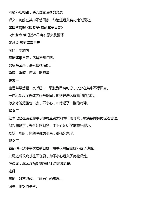 沉醉不知归路,误入藕花深处的意思