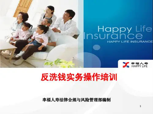 保险公司内勤反洗钱培训ppt课件