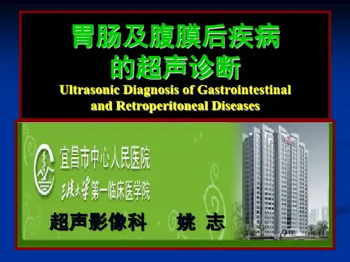 胃肠及腹膜后疾病的超声诊断要点ppt课件
