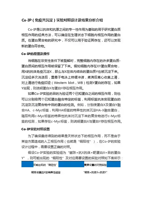 Co-IP（免疫共沉淀）实验对照设计及结果分析介绍
