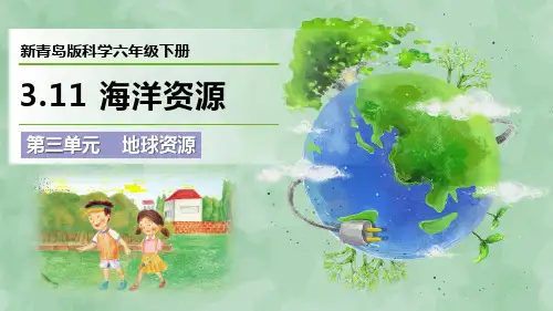 2024新青岛版科学六年级下册第三单元 地球资源《海洋资源》优质课件